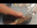 Indestructible Shoe Ryder Black Review