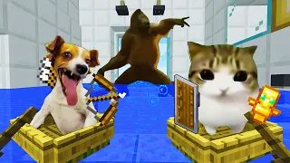 Meme Cats vs. Dogs in Minecraft: Flood in the Monkey's house! - Part 5