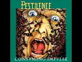 Dehydrated - Pestilence