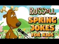 Spring Jokes for Kids - Russell The Reindeer