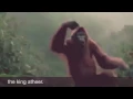 يا بيت كطيو