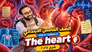الصف الخامس | انجليزي 2027 | الوحدة الثانية الدرس الثالث | ابسط شرح | درس القلب The heart