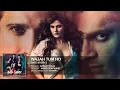 Wajah Tum Ho FULL AUDIO Song | Hate Story 3 | Armaan Malik | T-Series