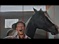 Day in the life Horse barn manager