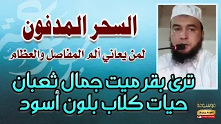 رقية السحر المدفون لمن يعاني ألم المفاصل والعظام ترى بقر ميت جمال ثعبان حيات كلاب بلون أسود 