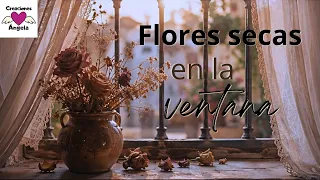 Flores secas en la ventana...🎧 Reflexión de Amor | Creaciones Ángela