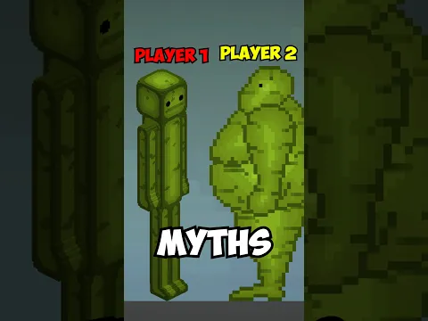 Busting Multiplayer Myths in Melon Sandbox