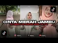 Download Lagu DJ FUNKOT CINTA MERAH JAMBU X RANDOM VIRAL TIK TOK FANDY NR