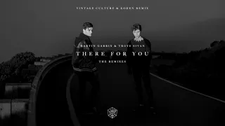 Martin Garrix Troye Sivan There For You Vintage Culture Kohen Remix 
