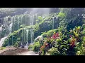 Afternoon Relax : Sunrise Day : Nature Relax and Heal your mine.