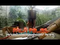 Download Lagu PALA PELER #perusak alam penghancur lereng#