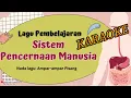 Karaoke‼️Pencernaan makanan pada manusia Ampar ampar pisang#sukurpramuka