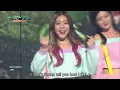 DIA (다이아) - Mr.Potter [Music Bank / 2016.10.21]