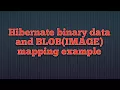 Hibernate Binary Data and BLOB Mapping example