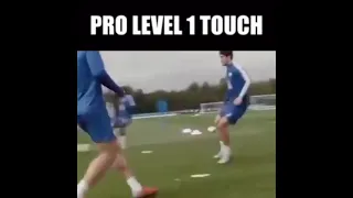                                   دندنها