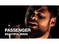 Lagu Passenger | Beautiful Birds | First Play Live