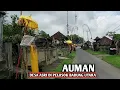 Lagu Desa asri di pelosok utara kabupaten badung bali. Desa adat  auman petang. 