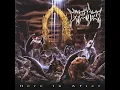 Immolation  I Feel Nothing