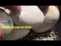 Hatching the Leaky Egg Clutch