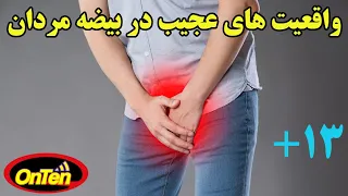 آلت تناسلی مردان و نکات جالبی که احتمالا نمیدانید 