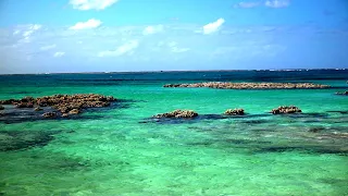 Porpoise Cay: Matthew Flinders' Wreck, Aaron's Bommie Mayhem and a 40kg Yellowfin