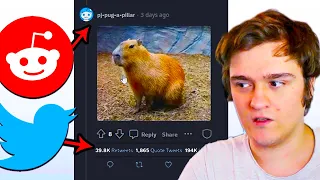Is Reddit BECOMING Like Twitter FROLiC