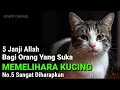 Download Lagu Inilah 5 Janji Allah Bagi Yang Suka Memelihara Kucing Menurut Islam, No.5 Paling Diharapkan