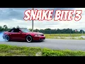 SNAKE BITE 3 4K Mustang Cobra with Kenne Bell Supercharger