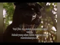 Download Lagu story wa macan kumbang. otomatis aktif