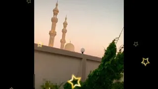 ليس الغريب بصوت الشيخ الافغاني محمد طاهر       م دندنها