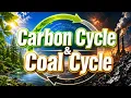 Episode 47 Carbon Cycle Coal Cycle