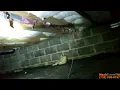 Foundation Walls Infested Mold in New Jersey Exposed