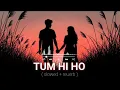 Download Lagu Tum Hi Ho Aashiqui ( Slowed + Reuerb ) | Arjit Singh | Nonstop Lofi