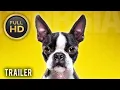 HOTEL FOR DOGS 2009 Movie Trailer 1080p