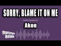 Download Lagu Akon - Sorry, Blame It On Me (Karaoke Version)