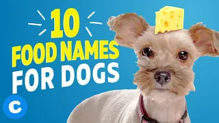 10 Cute Food Names for Dogs