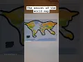 the secret of the world map