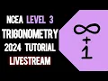 NCEA Level 3 Trigonometry 2024 Internal Tutorial