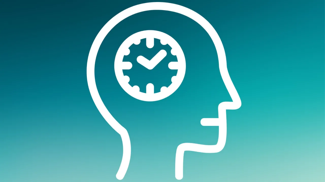 What is the circadian rhythm?
