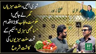 Shehri Aayen, Muft Sabziyan Ghar Le Jayen!Hukoomat Punjab Ka Bara Iqdam | Daily Pakistan