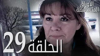 الأوراق المتساقطة الحلقة 29 كاملة مدبلجة بالعربية Leaf Cast  الأوراق المتساقطة الحلقة 29 كاملة مدبلجة بالعربية Leaf Cast