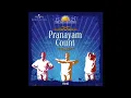 PRANAYAM COUNTS IN HINDI ART OF LIVING