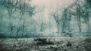 تم سامارا دندنها