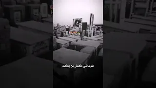 صفصاف طولك ع الفجر 