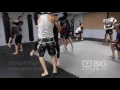 Trinity MMA Martial Art School Adelaide for Martial Arts Training