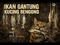 Lagu IKAN GANTUNG KUCING BENGONG - Cover by KinabaluVoices 