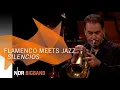 Lagu NDR Bigband feat. Elva y Tomás: \
