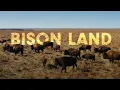 Lagu How Bison Are Saving America's Lost Prairie