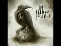 Fear is the Weakness - In Flames