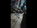 Fijian sweet sigidrigi 🎵 Sweet Darling 🇫🇯